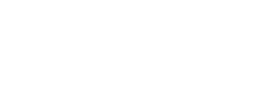 Lizbird Logo